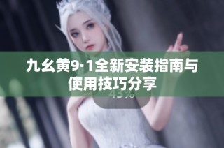 九幺黃9·1全新安裝指南與使用技巧分享