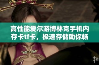 高性能愛爾游博林克手機內存卡tf卡，極速存儲助你暢享精彩生活