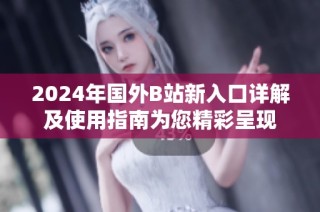 2024年國外B站新入口詳解及使用指南為您精彩呈現