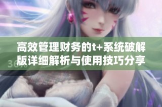 高效管理財務的t+系統破解版詳細解析與使用技巧分享