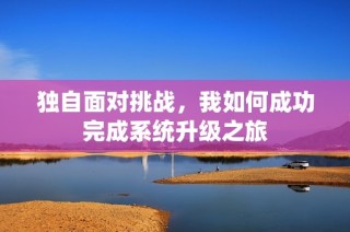 獨自面對挑戰，我如何成功完成系統升級之旅