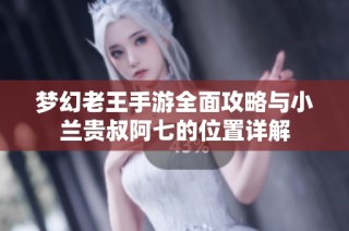 夢幻老王手游全面攻略與小蘭貴叔阿七的位置詳解