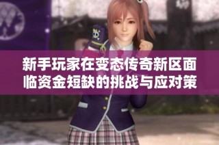 新手玩家在變態傳奇新區面臨資金短缺的挑戰與應對策略