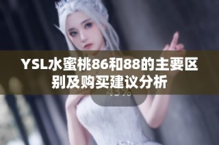 YSL水蜜桃86和88的主要區別及購買建議分析