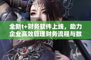 全新t+財務軟件上線，助力企業高效管理財務流程與數據分析