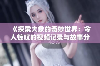 《探索大象的奇妙世界：令人驚嘆的視頻記錄與故事分享》