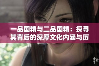 一品國精與二品國精：探尋其背后的深厚文化內涵與歷史價值