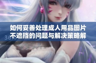如何妥善處理成人用品圖片不遮擋的問題與解決策略解析