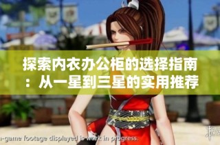 探索內(nèi)衣辦公柜的選擇指南：從一星到三星的實(shí)用推薦與評(píng)測(cè)