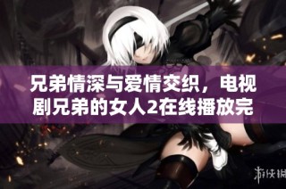 兄弟情深與愛情交織，電視劇兄弟的女人2在線播放完整版本解析