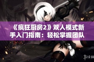 《瘋狂廚房2》雙人模式新手入門指南：輕松掌握團隊合作技巧與游戲策略