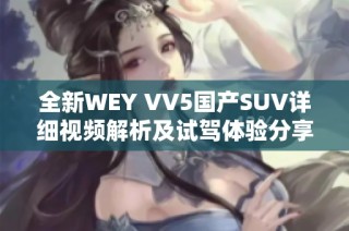 全新WEY VV5國產SUV詳細視頻解析及試駕體驗分享