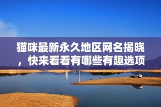貓咪最新永久地區網名揭曉，快來看看有哪些有趣選項