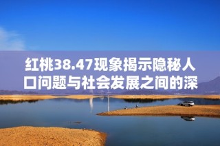 紅桃38.47現(xiàn)象揭示隱秘人口問題與社會發(fā)展之間的深厚聯(lián)系