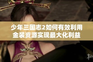 少年三國志2如何有效利用金裝資源實現最大化利益