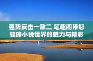 強(qiáng)勢(shì)反擊一敵二 筆趣閣帶您領(lǐng)略小說(shuō)世界的魅力與精彩