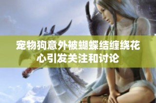 寵物狗意外被蝴蝶結(jié)纏繞花心引發(fā)關(guān)注和討論