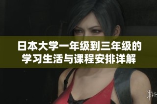 日本大學一年級到三年級的學習生活與課程安排詳解