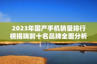 2023年國產手機銷量排行榜揭曉前十名品牌全面分析與點評