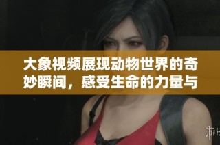 大象視頻展現(xiàn)動(dòng)物世界的奇妙瞬間，感受生命的力量與溫柔