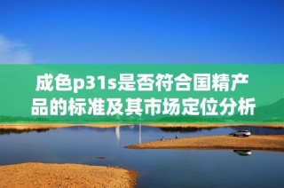 成色p31s是否符合國精產品的標準及其市場定位分析