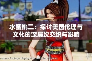 水蜜桃二：探討美國倫理與文化的深層次交織與影響