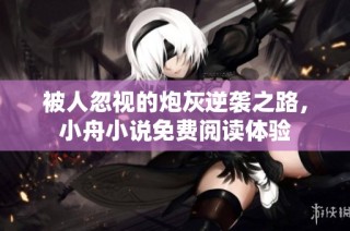 被人忽視的炮灰逆襲之路，小舟小說免費閱讀體驗
