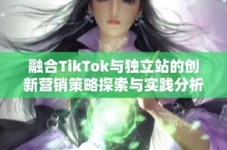 融合TikTok與獨立站的創新營銷策略探索與實踐分析