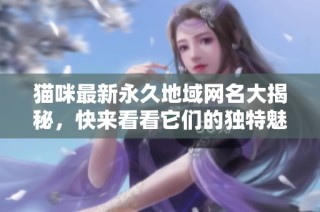 貓咪最新永久地域網名大揭秘，快來看看它們的獨特魅力與意義