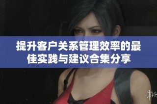 提升客戶關系管理效率的最佳實踐與建議合集分享