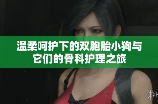 溫柔呵護下的雙胞胎小狗與它們的骨科護理之旅