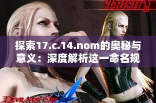 探索17.c.14.nom的奧秘與意義：深度解析這一命名規則的重要性與影響