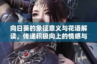 向日葵的象征意義與花語解讀，傳遞積極向上的情感與希望