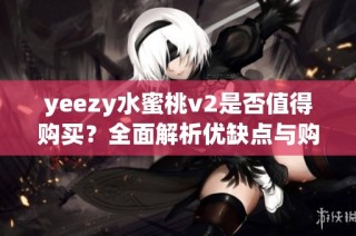 yeezy水蜜桃v2是否值得購買？全面解析優缺點與購買建議