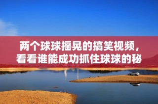 兩個球球搖晃的搞笑視頻，看看誰能成功抓住球球的秘密技巧