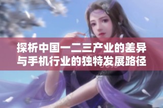 探析中國一二三產(chǎn)業(yè)的差異與手機行業(yè)的獨特發(fā)展路徑