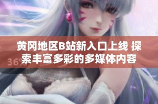 黃岡地區(qū)B站新入口上線 探索豐富多彩的多媒體內(nèi)容