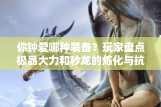 你鐘愛哪種裝備？玩家盤點極品大力和秒龍的煉化與抗冰特點