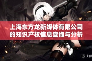 上海東方龍新媒體有限公司的知識產權信息查詢與分析指南