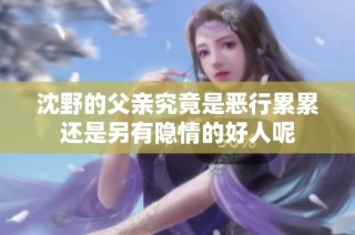 沈野的父親究竟是惡行累累還是另有隱情的好人呢