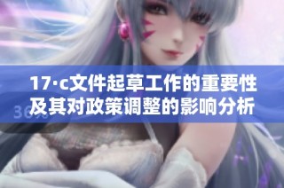17·c文件起草工作的重要性及其對政策調整的影響分析