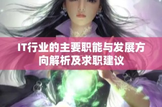IT行業(yè)的主要職能與發(fā)展方向解析及求職建議