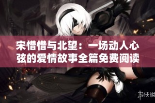 宋惜惜與北望：一場動人心弦的愛情故事全篇免費閱讀無廣告