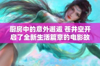 廚房中的意外邂逅 蒼井空開啟了全新生活篇章的電影故事