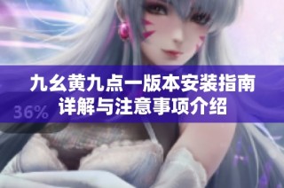 九幺黃九點一版本安裝指南詳解與注意事項介紹
