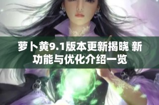 蘿卜黃9.1版本更新揭曉 新功能與優(yōu)化介紹一覽