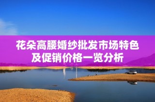 花朵高腰婚紗批發市場特色及促銷價格一覽分析
