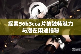 探索56h3cca片的獨特魅力與潛在用途揭秘
