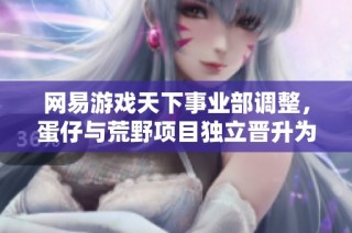網易游戲天下事業部調整，蛋仔與荒野項目獨立晉升為新事業部