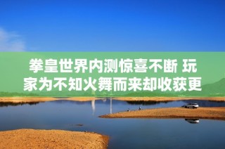 拳皇世界內(nèi)測驚喜不斷 玩家為不知火舞而來卻收獲更多反撩驚喜